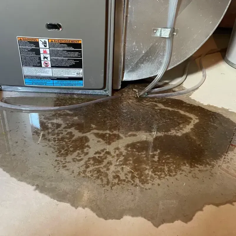 Appliance Leak Cleanup in Atlantic Beach, FL